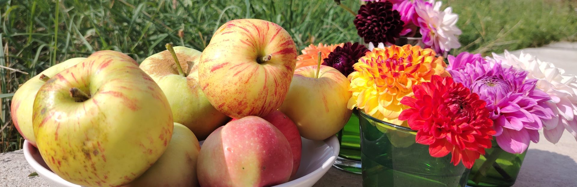 Erster Apfel 2025